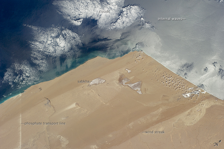 Desert Coast—Morocco, Western Sahara