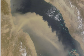 Dust Plume Over the Red Sea