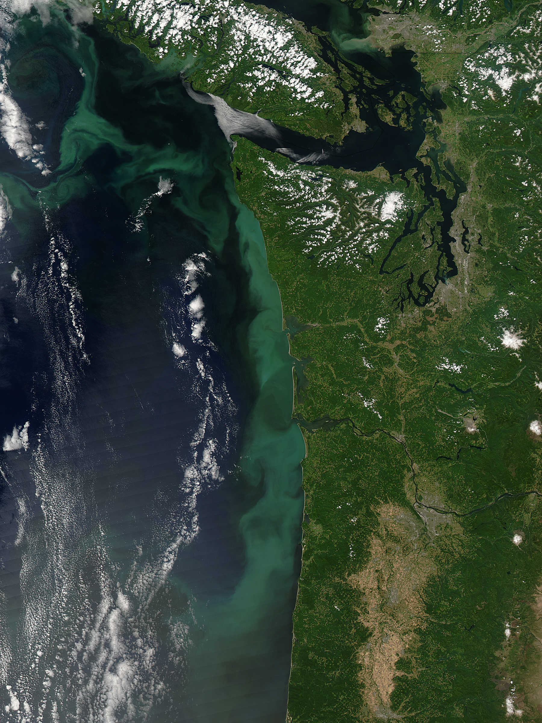 Phytoplankton Bloom off the Pacific Northwest - related image preview