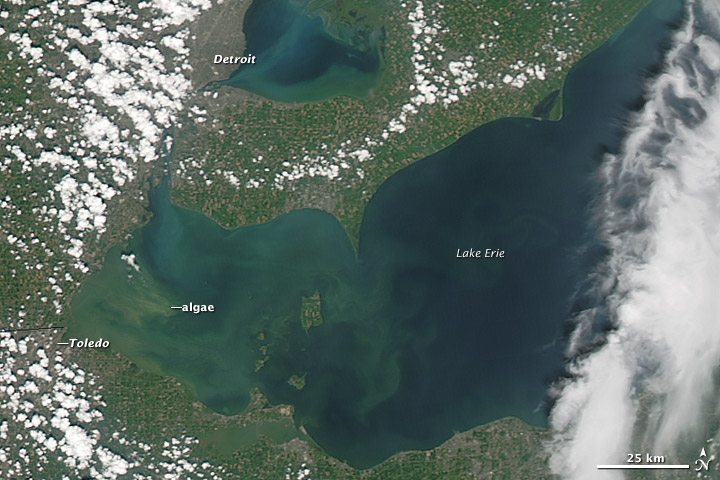 Algae Bloom on Lake Erie