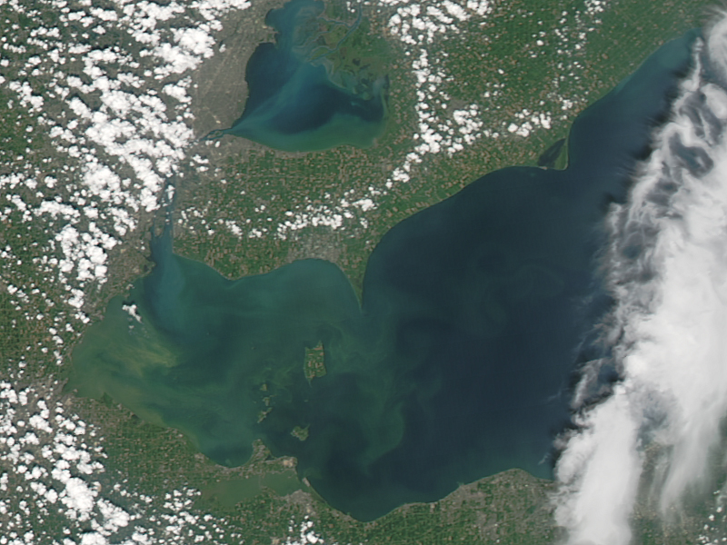 Algae Bloom on Lake Erie - related image preview