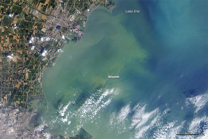 Landsat natural color (with coastal blue) - August 1, 2014