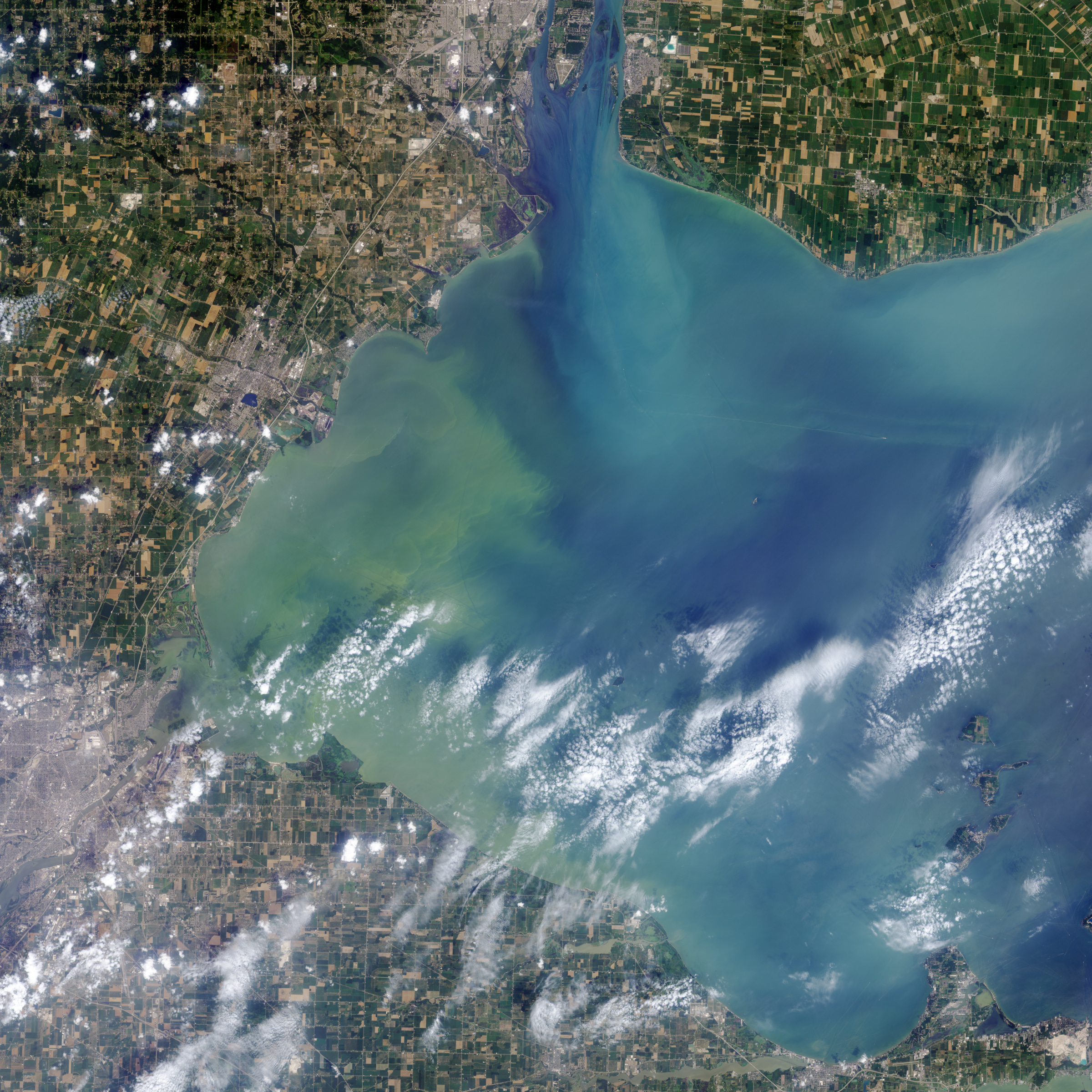 Algae Bloom on Lake Erie - related image preview