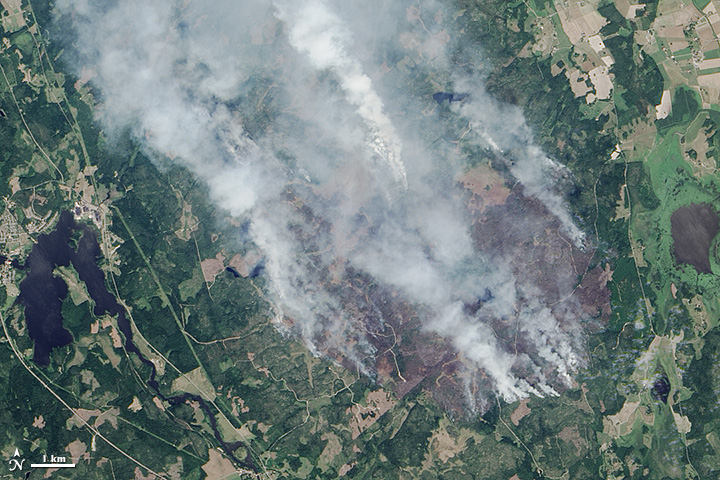 Wildfire in Sweden - related image preview