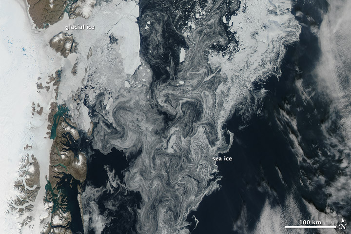 Ice in the Greenland Sea - related image preview