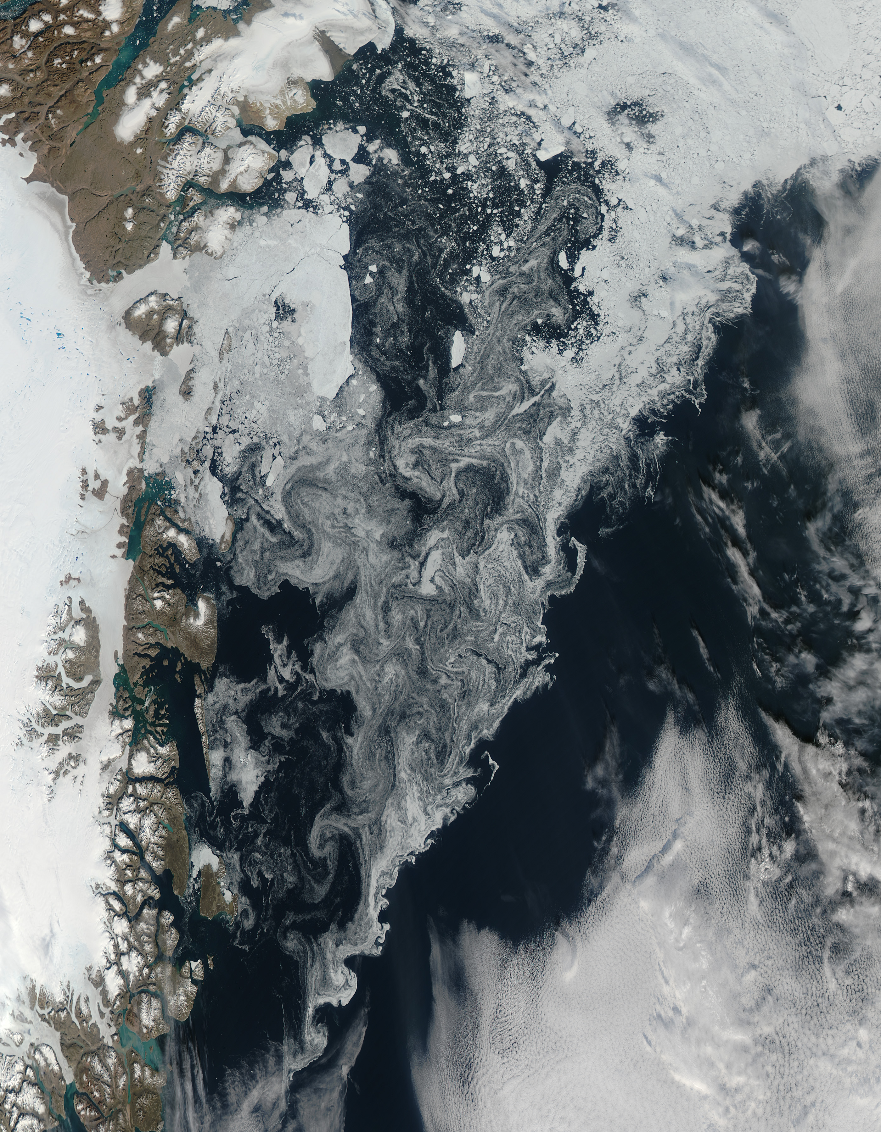 Ice in the Greenland Sea