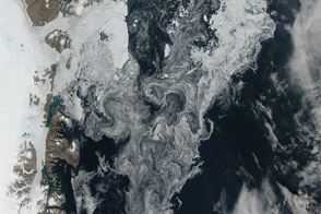 Ice in the Greenland Sea