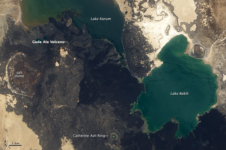 Curiosities of the Danakil Depression