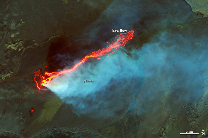 Roiling Flows on Holuhraun Lava Field