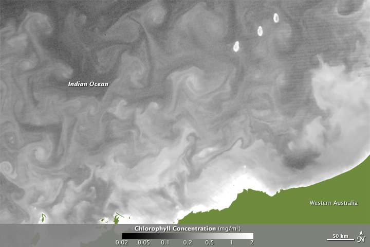 Chlorophyll Traces Currents off Australia’s Northwest Coast - related image preview