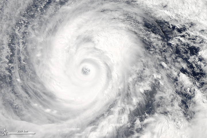 Typhoon Vongfong - related image preview