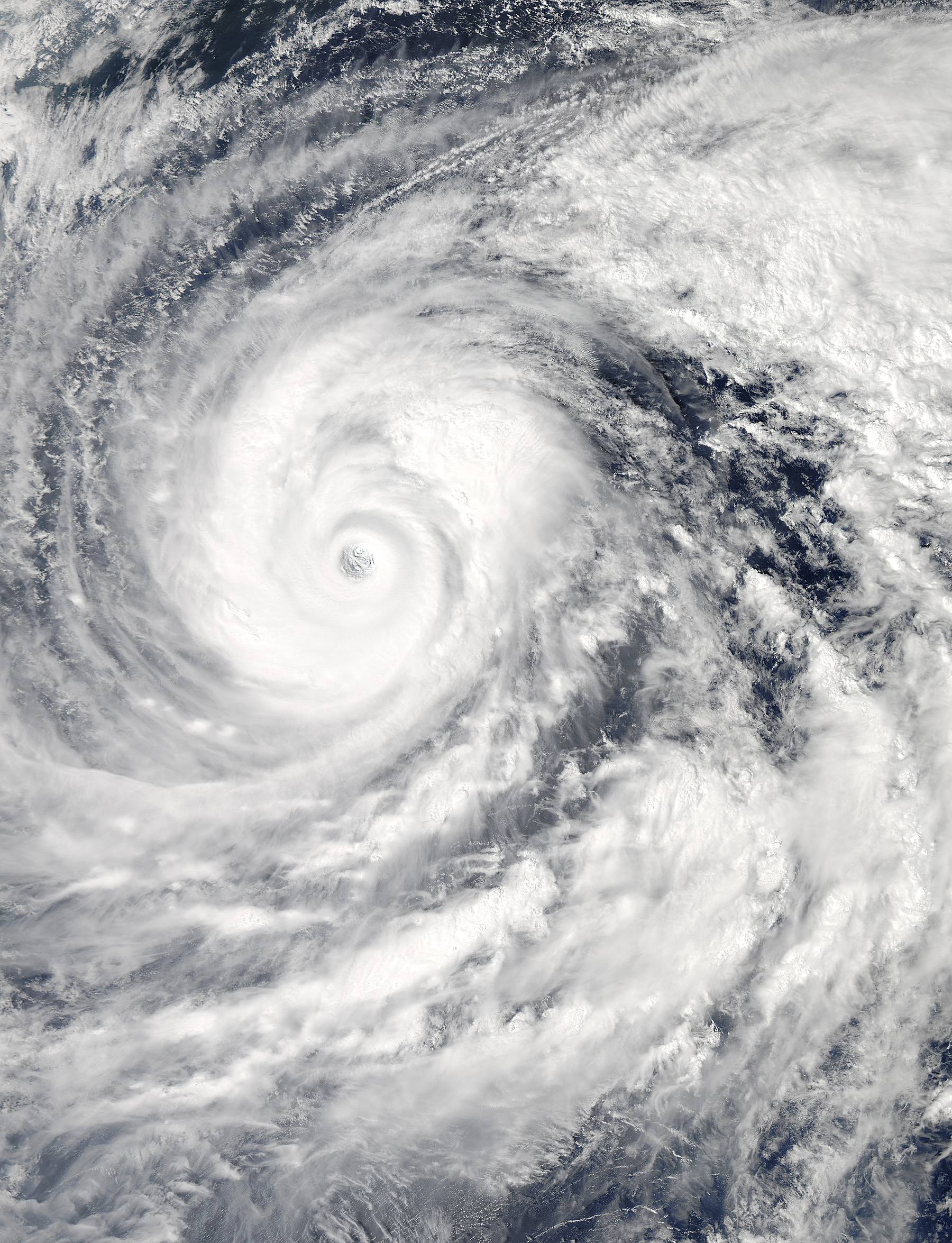 Typhoon Vongfong - related image preview