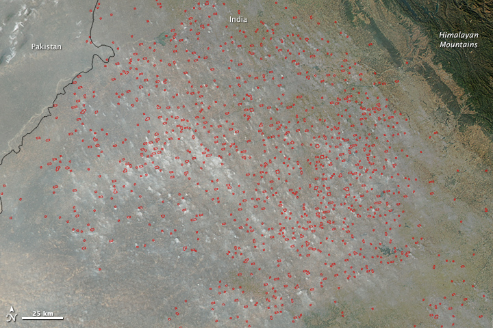 Stubble Burning in Northern India 