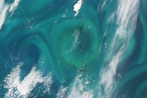 Demise of a Phytoplankton Bloom