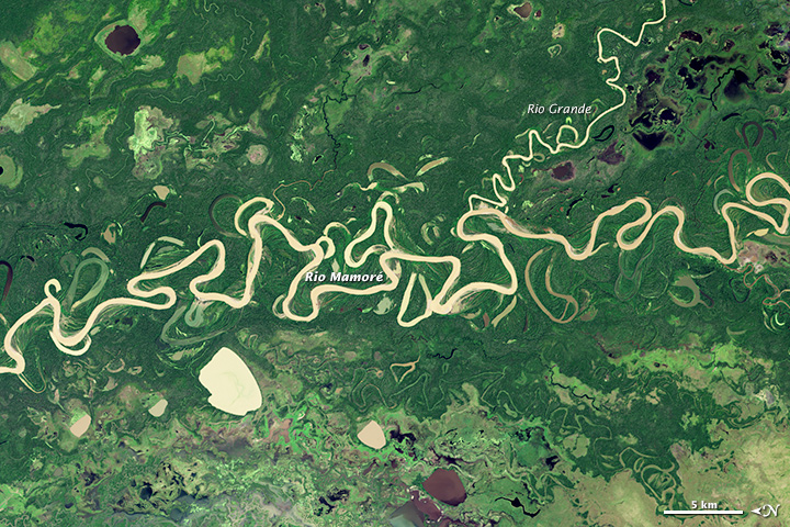 Meandering in the Amazon - related image preview