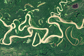 Meandering in the Amazon