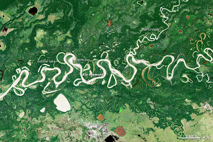 Meandering in the Amazon - related image preview