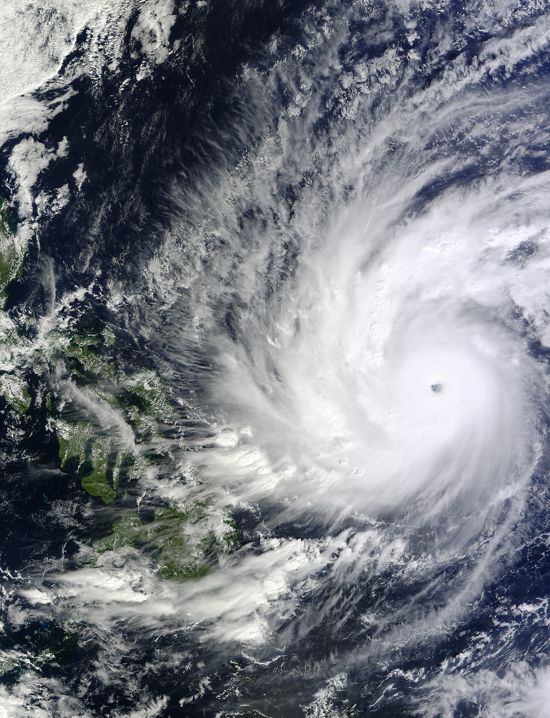 Typhoon Hagupit - related image preview