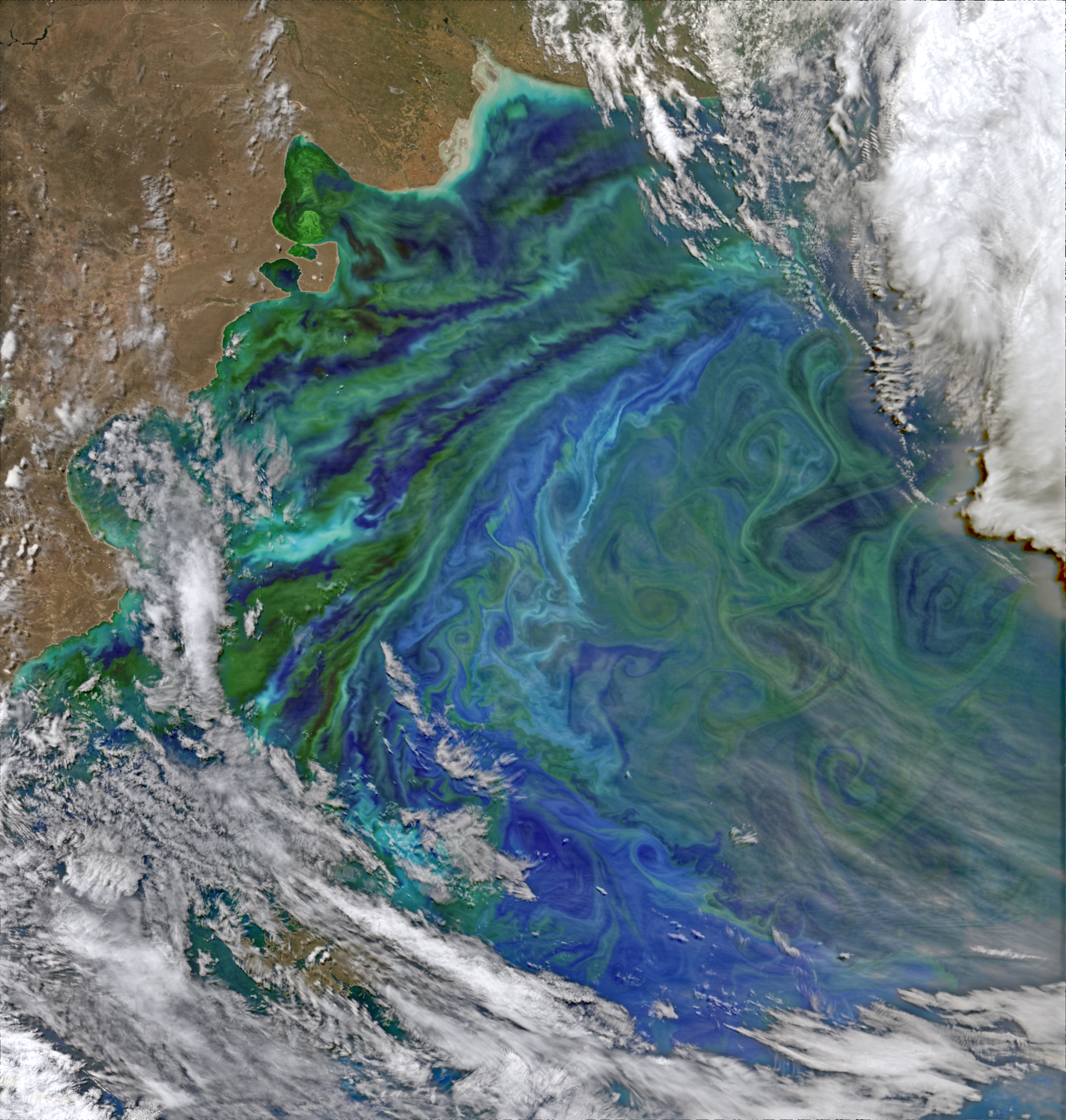 Colorful and Plankton-full Patagonian Waters - related image preview