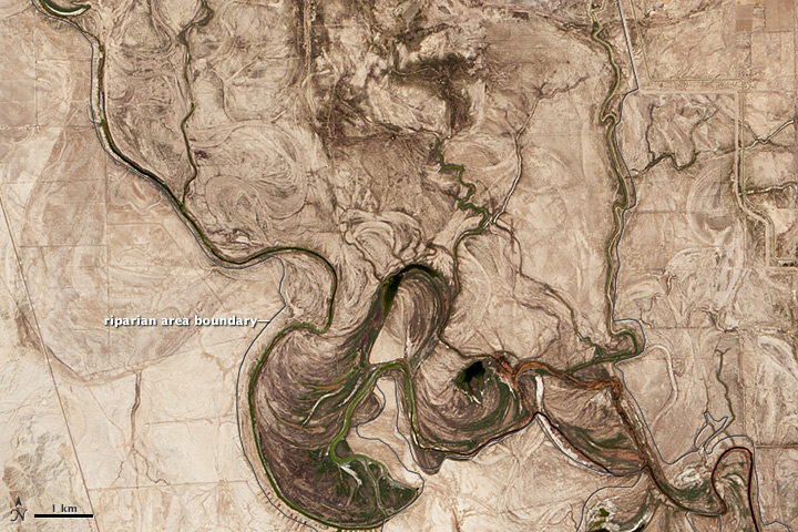 A Pulse of New Life on the Colorado River - related image preview