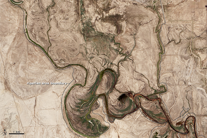 A Pulse of New Life on the Colorado River - related image preview