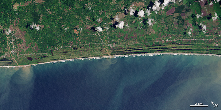 Coastal Recovery in Aceh Province, Sumatra