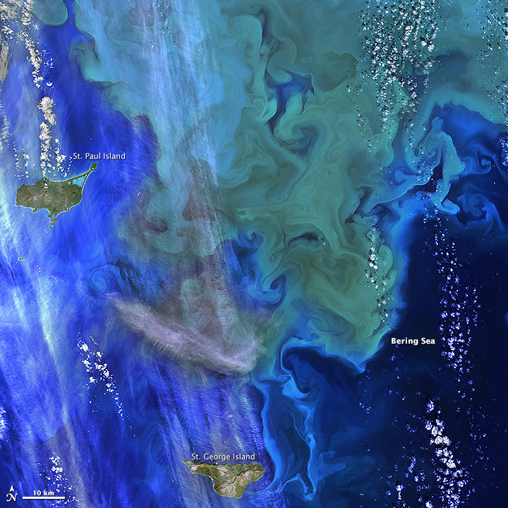 Coloring the Sea around the Pribilof Islands - related image preview