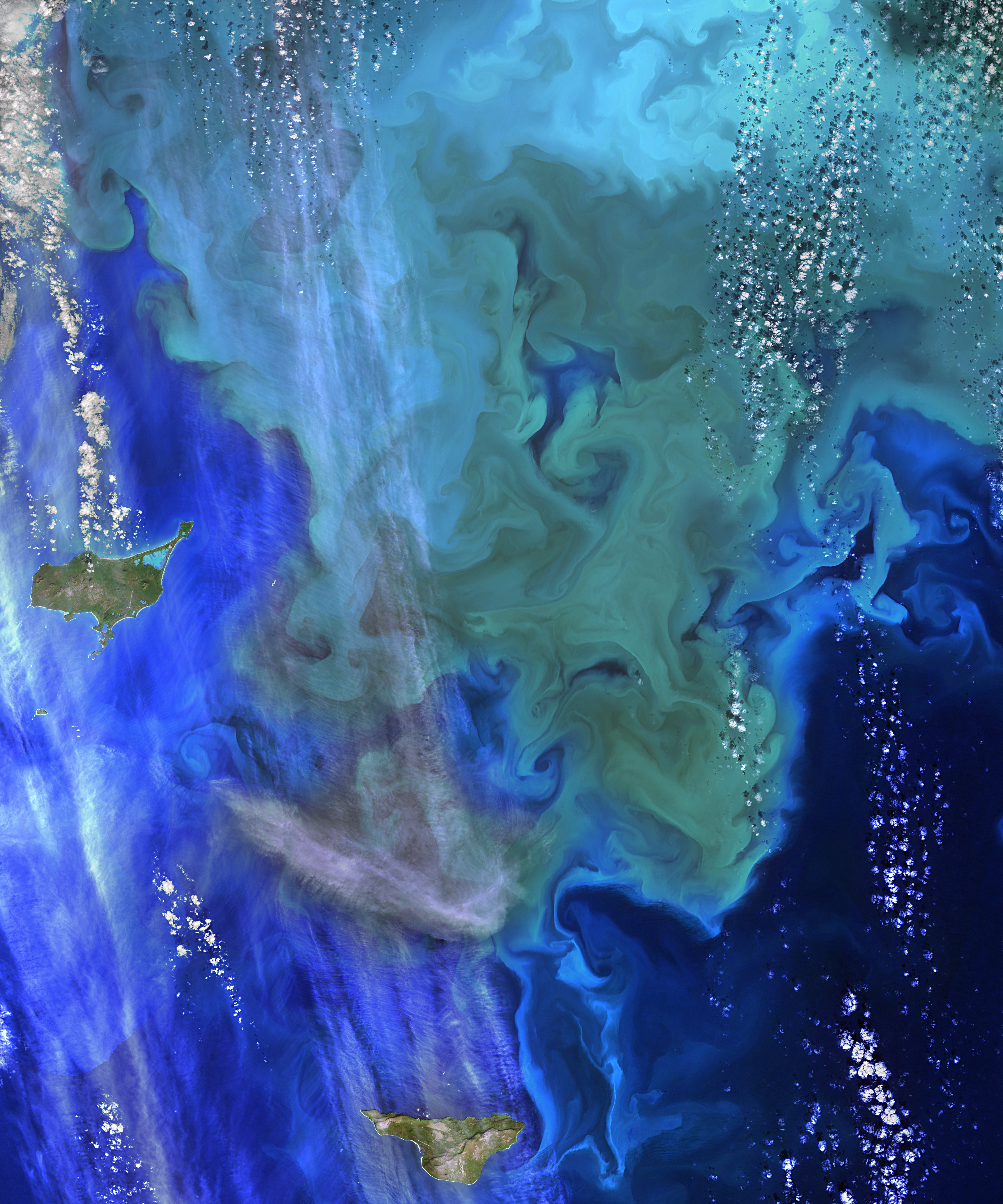 Coloring the Sea around the Pribilof Islands - related image preview