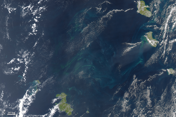 "Sea Sawdust" in the Southwest Pacific Ocean - related image preview