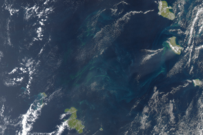 "Sea Sawdust" in the Southwest Pacific Ocean