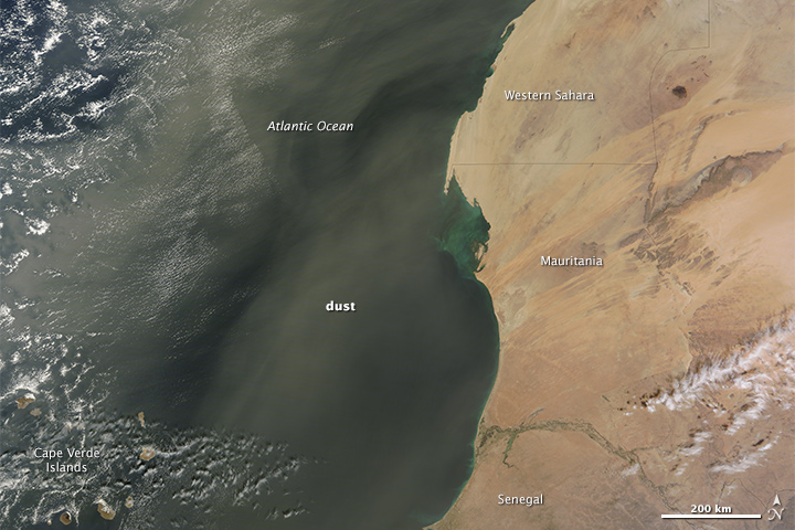 Dust Storm off West Africa  - related image preview