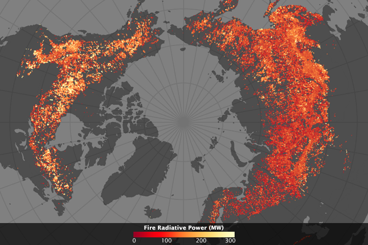 High-Latitude Forest Fires Behave Differently in North America and Eurasia - related image preview