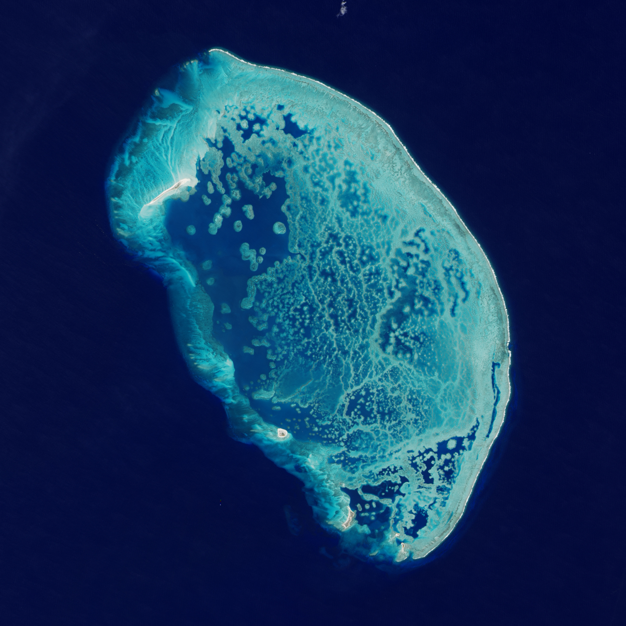 Reef in the Southern Gulf of Mexico - related image preview