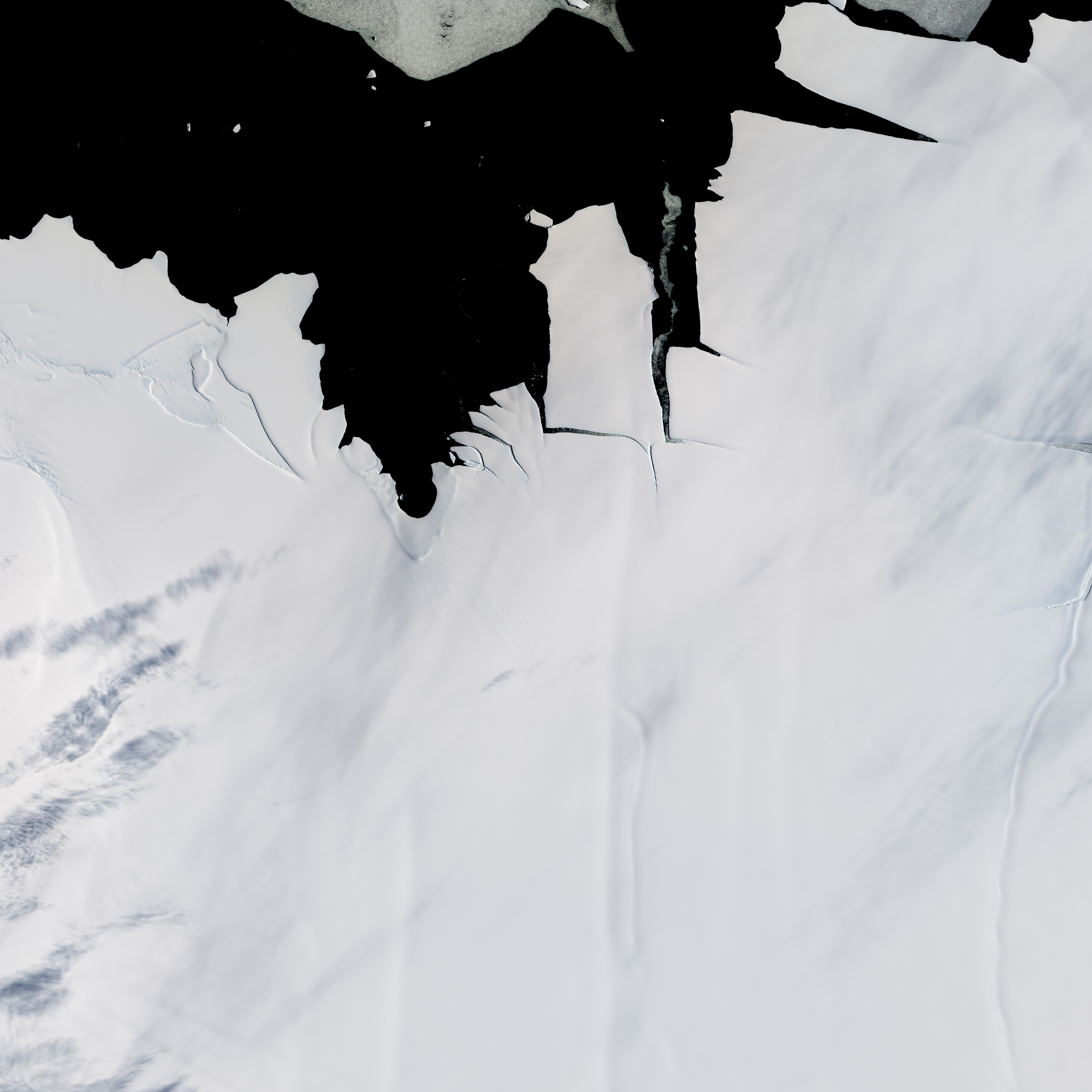 A Chip off the King Baudouin Ice Shelf - related image preview
