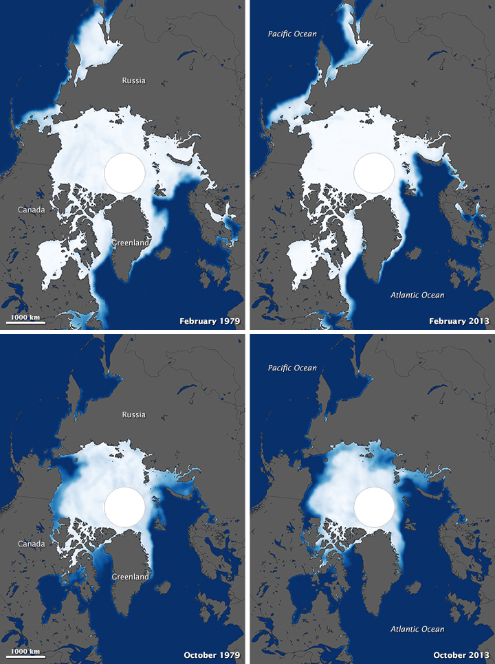 Despite Antarctic Gains, Global Sea Ice Is Shrinking - related image preview