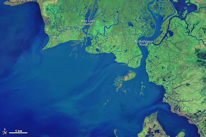 New Land on the Louisiana Coast - related image preview