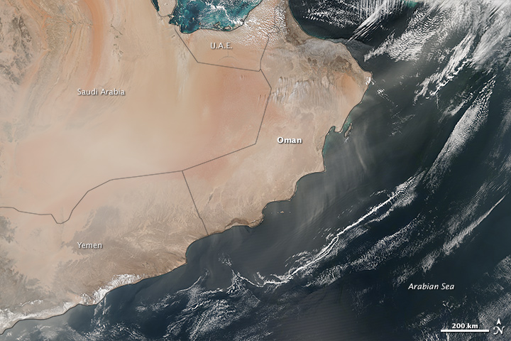 Persistent Dust Storms on the Southern Arabian Peninsula