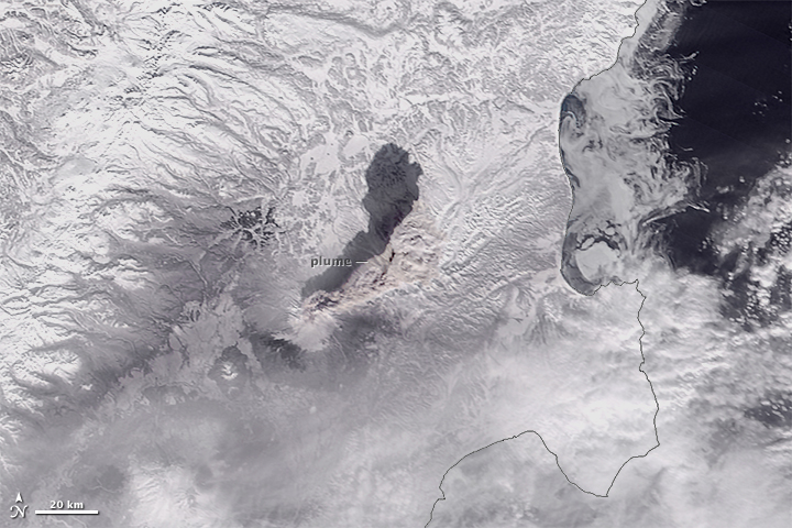 A Plume Advances Over Shiveluch - related image preview