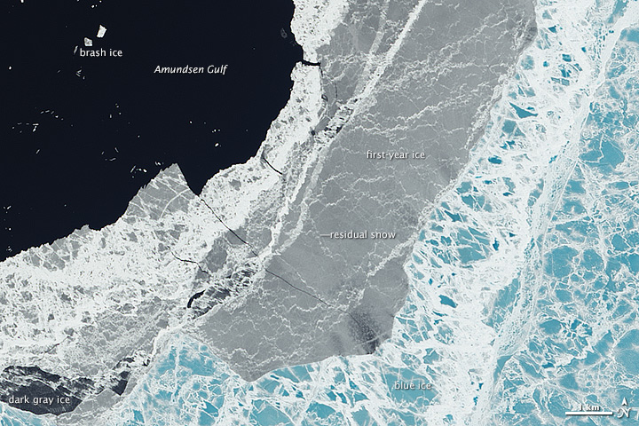 On the Edge of Ice in the Amundsen Gulf - related image preview