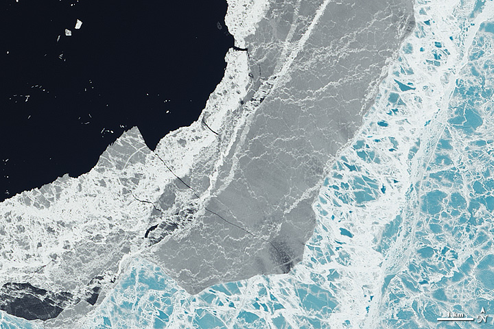 On the Edge of Ice in the Amundsen Gulf - related image preview