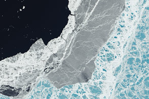 On the Edge of Ice in the Amundsen Gulf - selected image