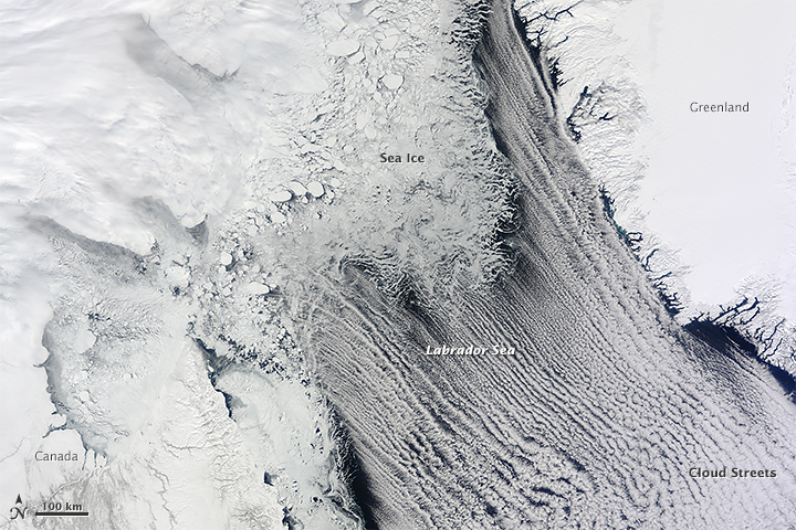 Sea Ice and Cloud Streets