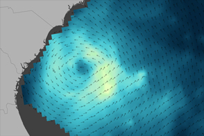 Winds of Tropical Storm Ana