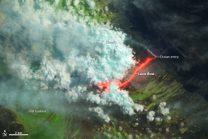 Wolf Volcano Erupts - related image preview