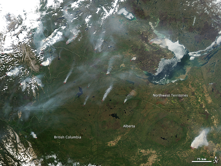 Intense Fires in Northern Canada