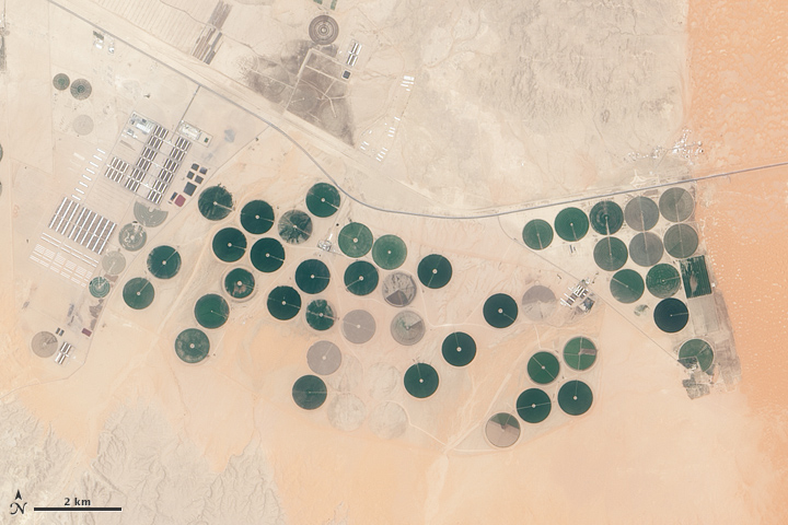 Todhia Arable Farm in Saudi Arabia - related image preview