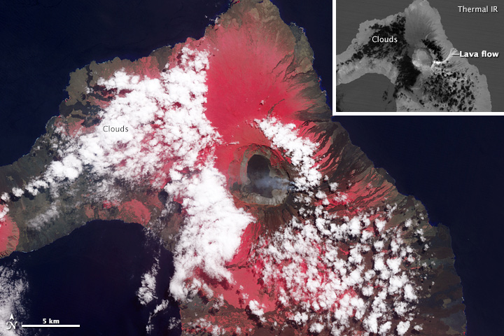 Eruption of Wolf Volcano Continues