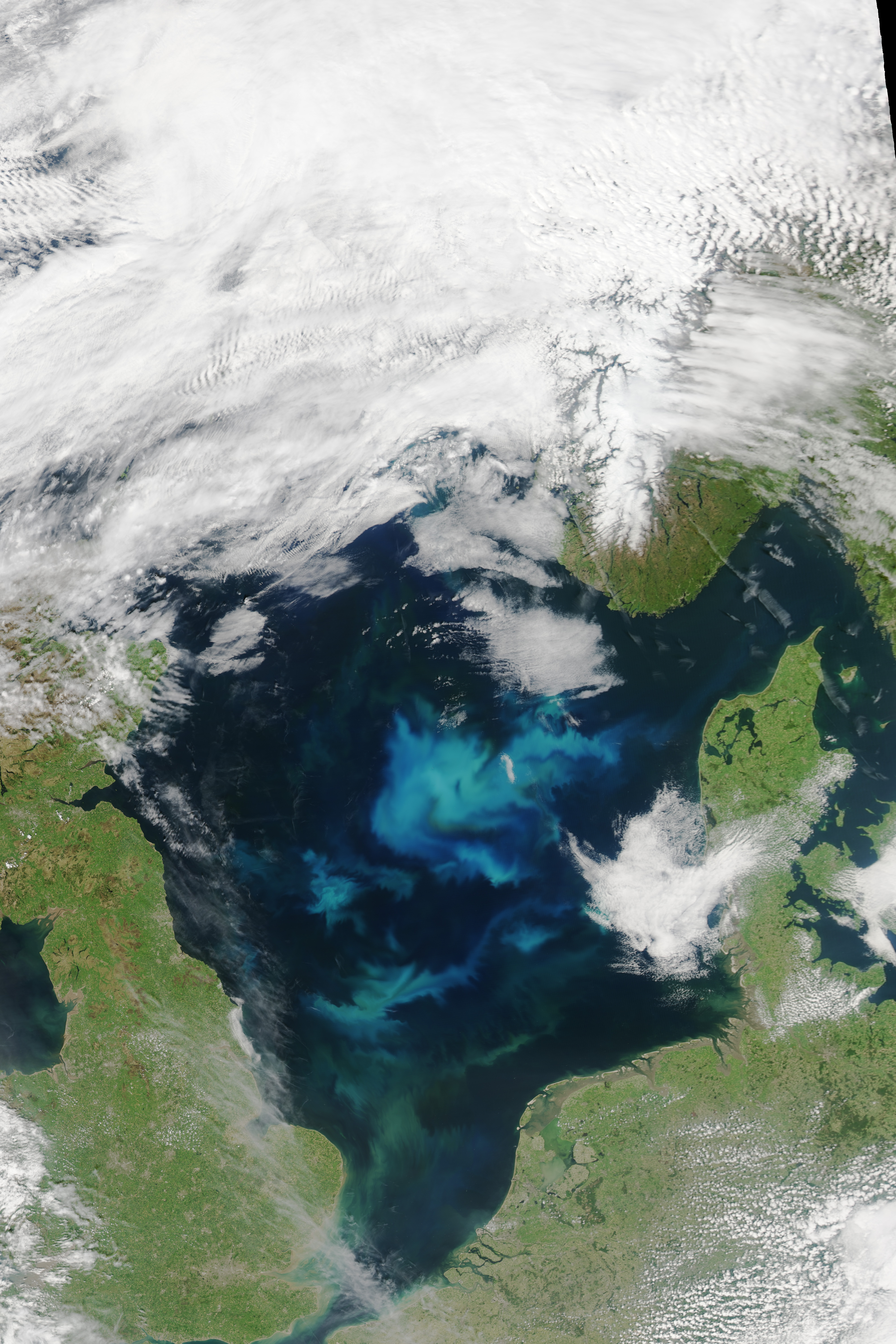 The North Sea Abloom - related image preview