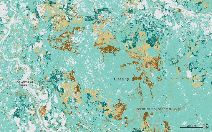 Changing Forest Cover Since the Soviet Era - related image preview