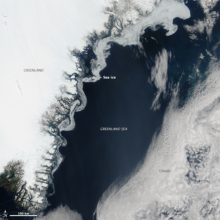 Swirling Sea Ice in the Greenland Sea 